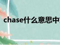 chase什么意思中文名字（chase什么意思）