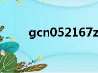 gcn052167z4是什么机油（g cn）