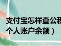 支付宝怎样查公积金个人账户余额（查公积金个人账户余额）