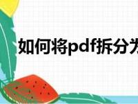 如何将pdf拆分为单页（pdf拆分成单页）