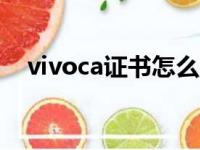 vivoca证书怎么删除（ca证书怎么删除）