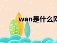 wan是什么网卡（wan是什么网）