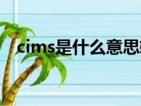 cims是什么意思软件（cims是什么意思）