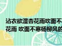 沾衣欲湿杏花雨吹面不寒杨柳风的作者是什么（沾衣欲湿杏花雨 吹面不寒杨柳风的作者）