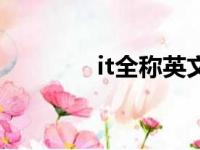 it全称英文怎么说（it全称）