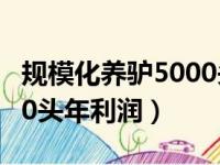 规模化养驴5000头成本和利润是多少（养驴50头年利润）