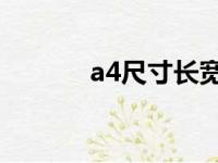 a4尺寸长宽高多少（a4 尺寸）