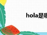 hola是哪国语言（hola）