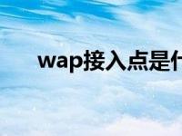 wap接入点是什么意思（wap接入点）