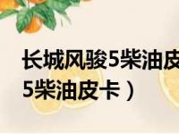 长城风骏5柴油皮卡电瓶型号规格（长城风骏5柴油皮卡）