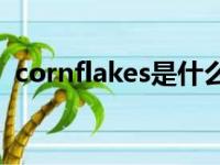 cornflakes是什么意思（corn是什么意思）