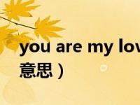 you are my love什么意思（My Love什么意思）