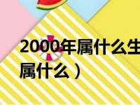 2000年属什么生肖2023年多少岁（2000年属什么）