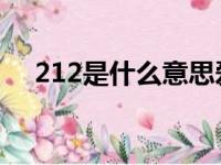 212是什么意思爱情（2 12是什么意思）