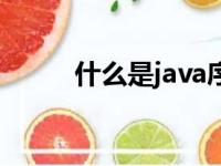 什么是java序列化（java序列化）