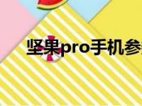 坚果pro手机参数配置（坚果pro配置）