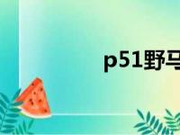 p51野马战斗机（p 51）