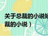 关于总裁的小说短篇完结篇推荐褚月（关于总裁的小说）