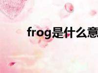 frog是什么意思（fiag是什么意思）