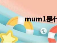 mum1是什么检查（mum1）