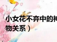 小女花不弃中的神秘人是谁（小女花不弃的人物关系）