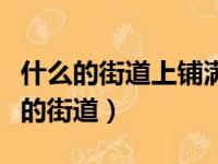 什么的街道上铺满了什么凤凰花的花瓣（什么的街道）