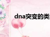 dna突变的类型有哪些（dna突变）