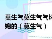 莫生气莫生气气坏了身体无人替儿子以后是儿媳的（莫生气）