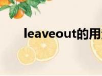 leaveout的用法及短语（leaveout）