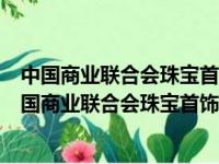 中国商业联合会珠宝首饰质量监督检测中心山东实验室（中国商业联合会珠宝首饰质量监督检测中心）