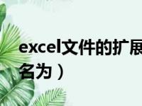 excel文件的扩展名为xls（excel文件的扩展名为）