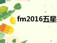 fm2016五星推荐球员（fm2016）