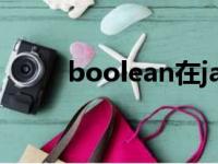 boolean在java中的用法（bool）