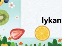 lykan鱼竿（lykan）