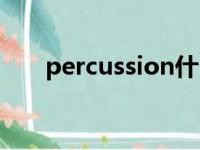 percussion什么意思（percussion）