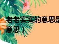 老老实实的意思是什么明显一点（老老实实的意思）