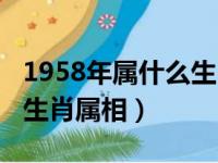 1958年属什么生肖属相五行（1958年属什么生肖属相）