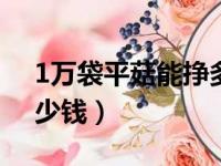 1万袋平菇能挣多少钱（2000袋平菇投资多少钱）