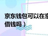 京东钱包可以在京东上购物吗（京东钱包可以借钱吗）