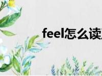 feel怎么读正确（feel怎么读）