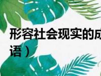 形容社会现实的成语句子（形容社会现实的成语）