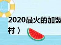 2020最火的加盟店农村（加盟店什么最火农村）