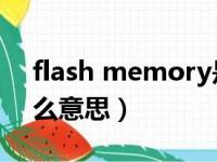 flash memory是什么意思（memory是什么意思）