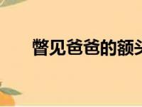 瞥见爸爸的额头纹作文600字（瞥见）