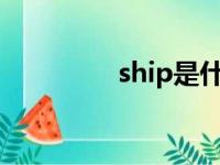 ship是什么意思（ships）