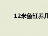 12米鱼缸养几条锦鲤（1 2米鱼缸）