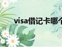 visa借记卡哪个银行办（visa借记卡）