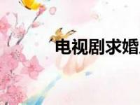 电视剧求婚片段（电视剧求婚）