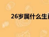 26岁属什么生肖1997（26岁属什么）