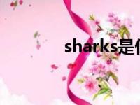 sharks是什么意思（shark）